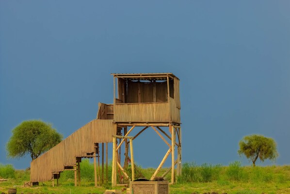 Una torre de madera con plataforma y zona de observación, rodeada de césped y árboles.