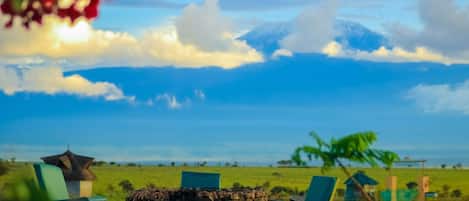 Cabin | Property grounds