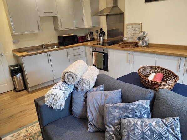 Cozy living space with a kitchenette, featuring a sofa, rug, and wall-mounted shelf.
