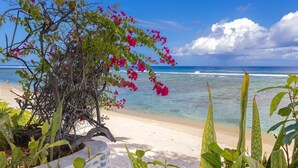 Vista de la playa con un muro de piedra, plantas tropicales y un cielo azul despejado.