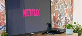 Le Cactus - Blow Résidences