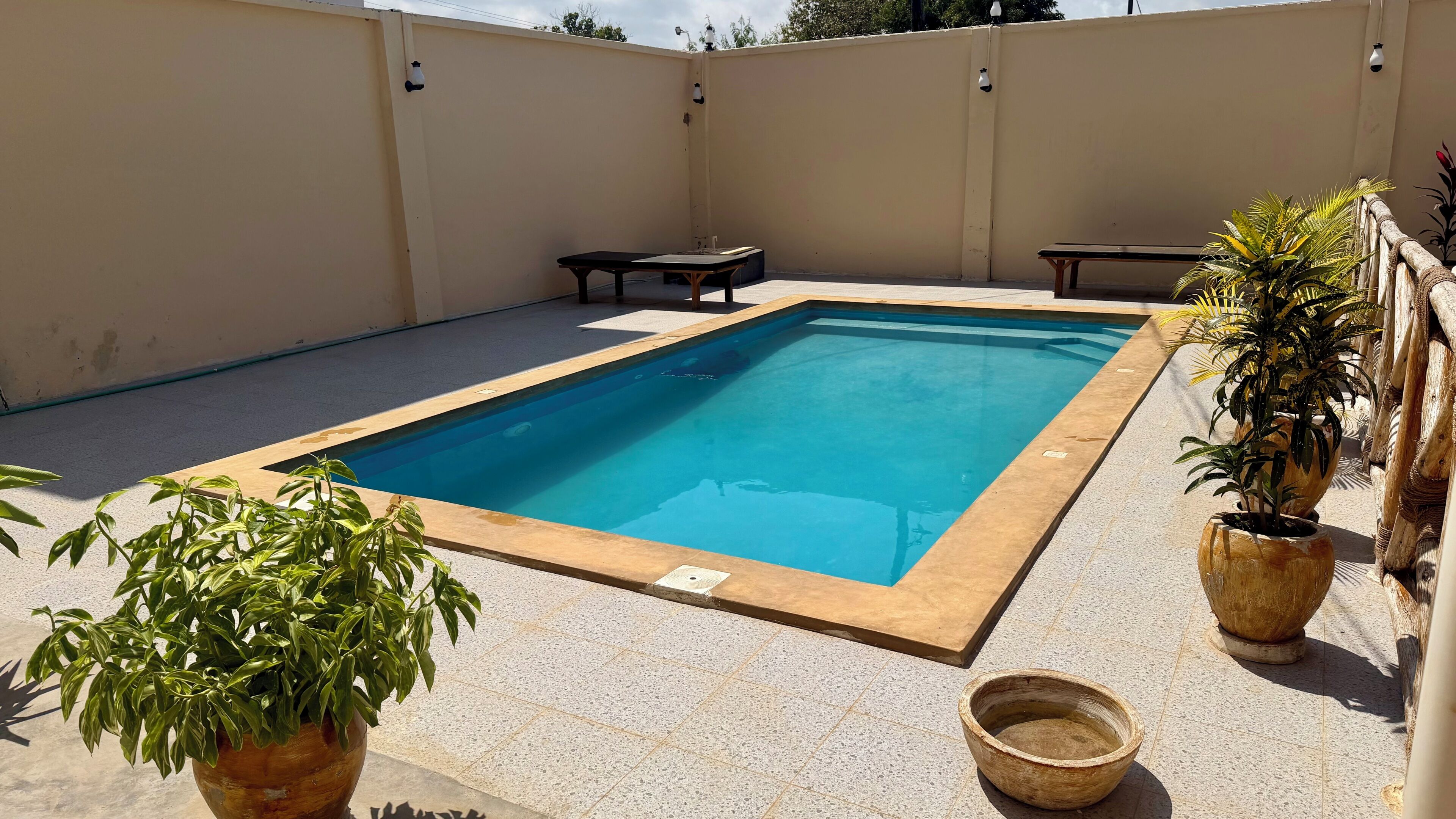 A rectangular swimming pool with a tiled deck, surrounded by walls and potted plants.