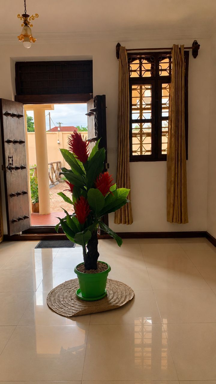 A room with a potted plant, a door leading outside, a window with curtains, and a light fixture.
