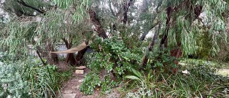 Terrain de lâhĂ©bergement