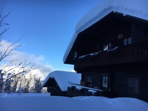 Apartment, 1 Schlafzimmer, Kamin, Bergblick | See