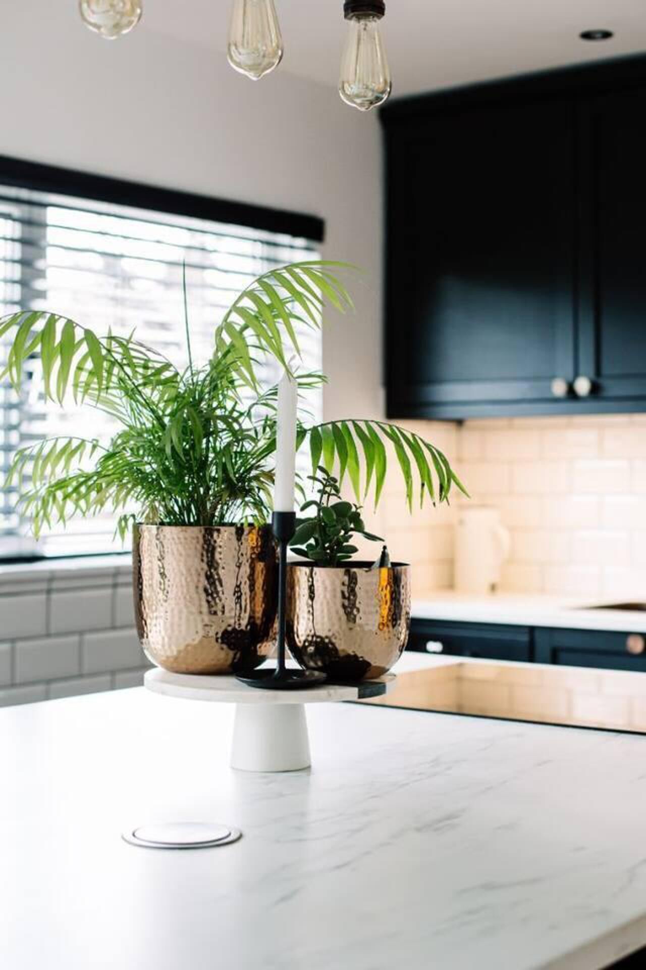 A kitchen with a white countertop, two potted plants, and a modern light fixture.