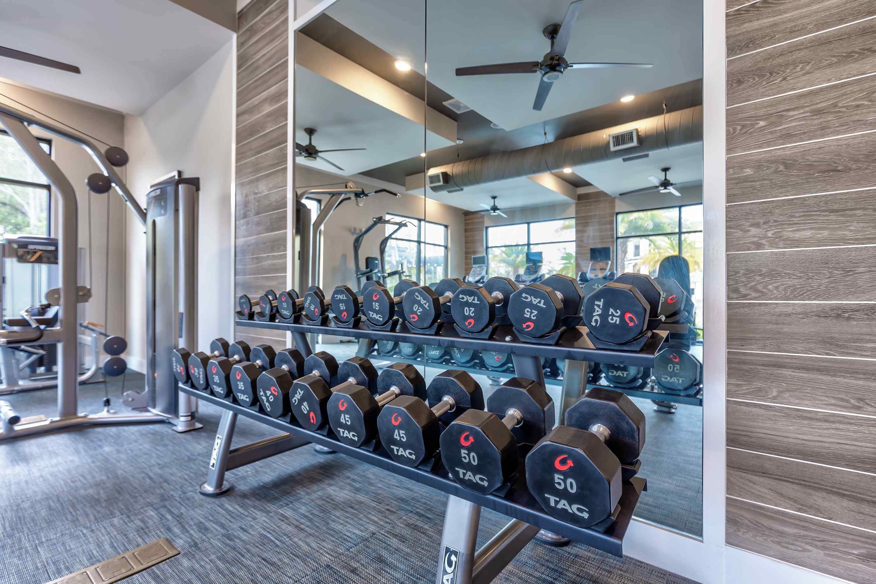 Ett gym med utrustning för styrketräning, inklusive hantlar och en bänkpress.