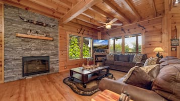 Smart TV, fireplace, books