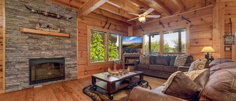 Smart TV, fireplace, books