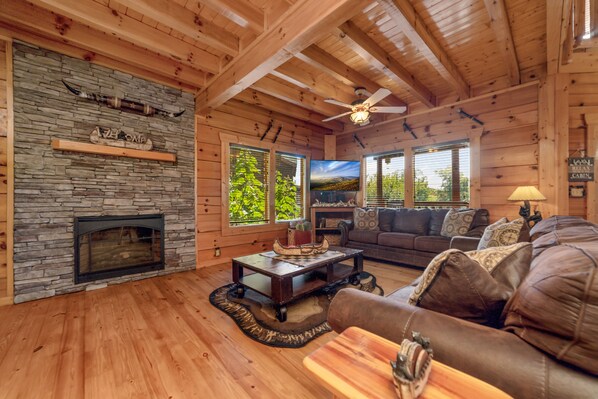 Smart TV, fireplace, books