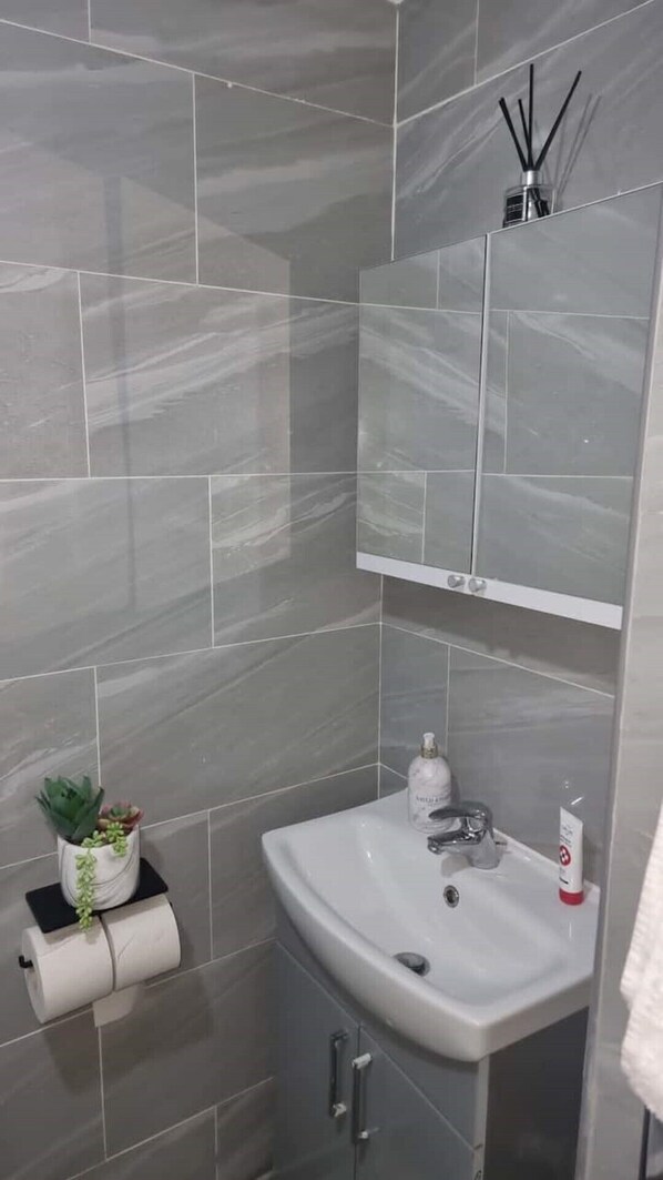 Hair dryer, towels, soap, toilet paper