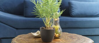 Nuevo, Luminoso, Confortable, Seguro, con Cochera, Excelente Ubicación Ciudad