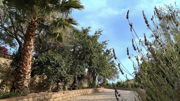 A paved pathway lined with trees and plants, leading towards a stone wall.