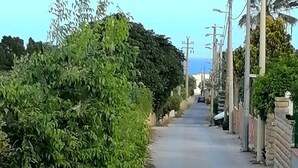 A narrow, tree-lined street with houses on one side and utility poles on the other.