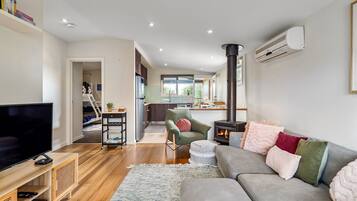 Smart TV, fireplace, books