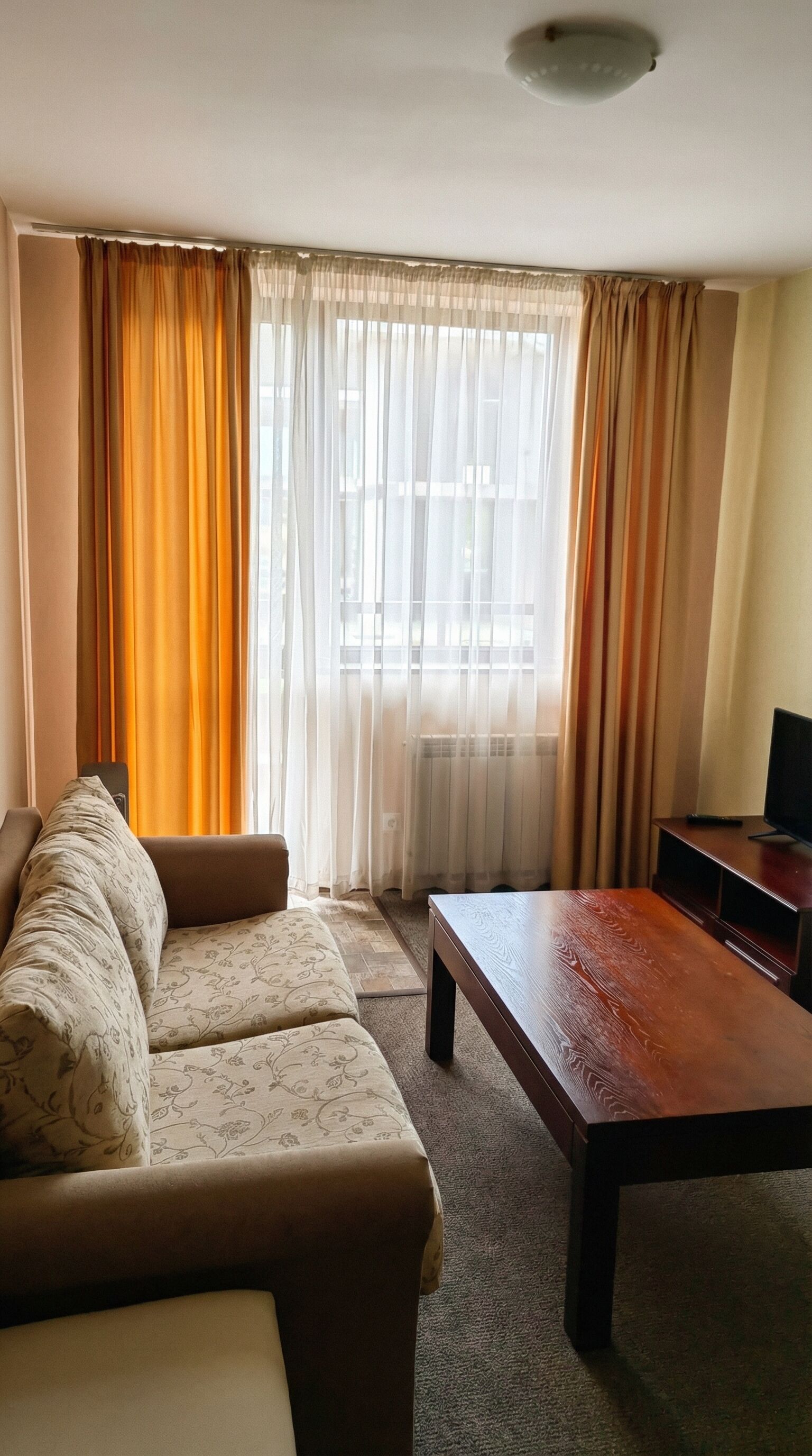 Apartment, 1 Bedroom, Balcony, Mountain View | Living room