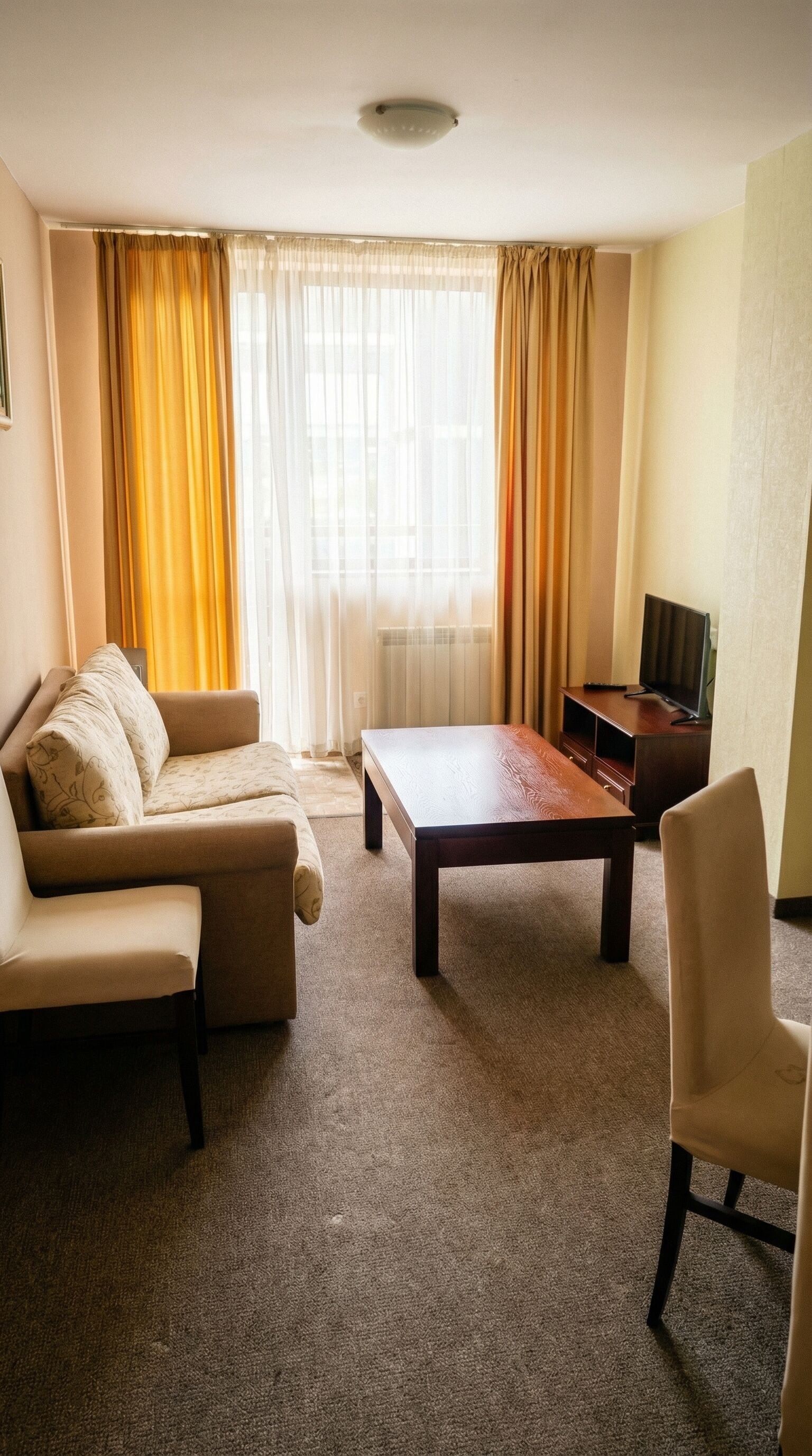 Apartment, 1 Bedroom, Balcony, Mountain View | Living room