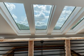 Interior - Cabin w/ Huge Mountain Views on Tiny Farm-10 min to Downtown/Blue Ridge Parkway (Asheville)