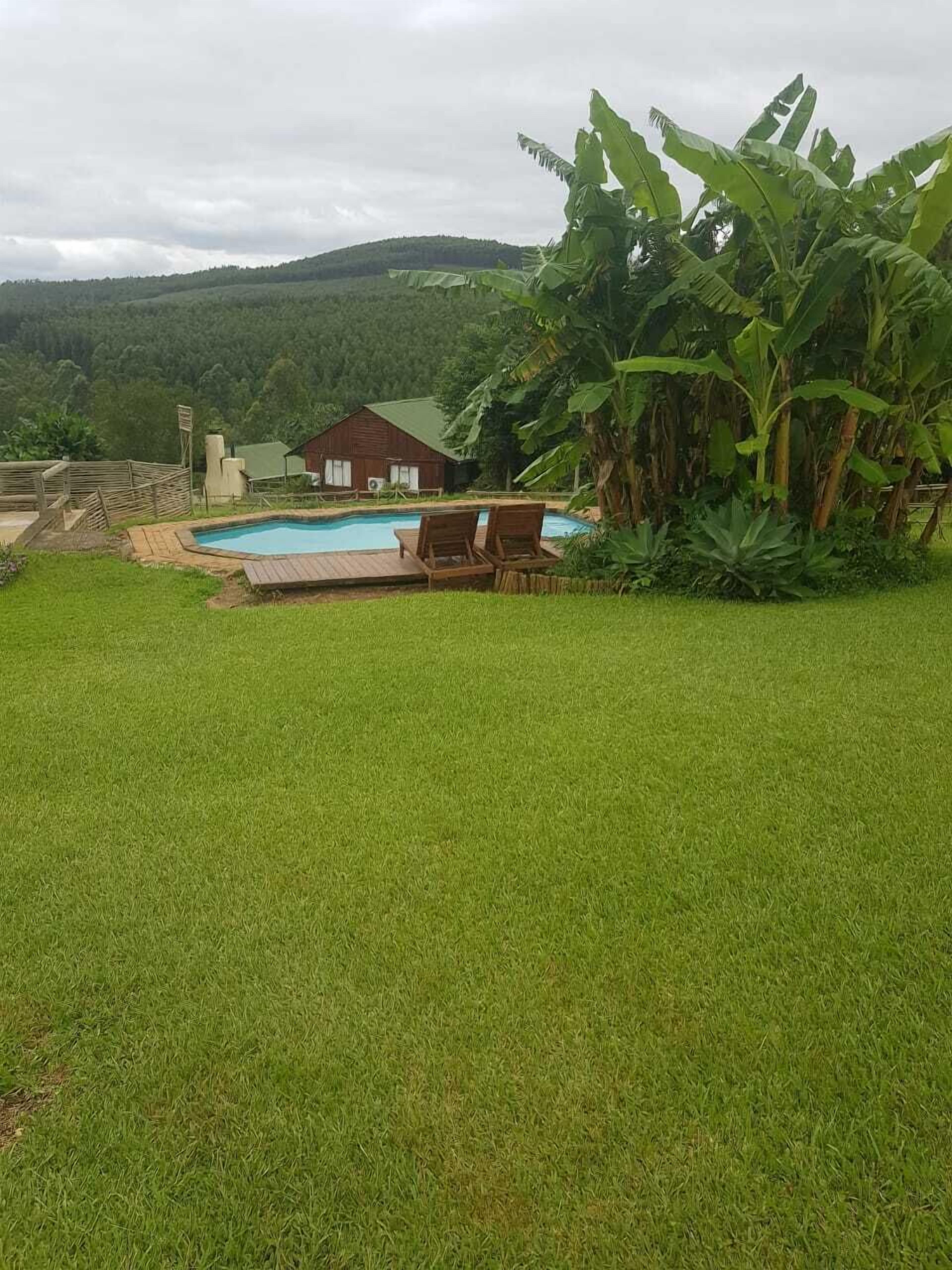 室外游泳池