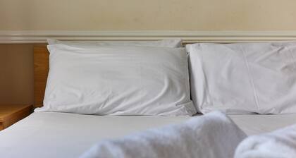 Properties Unique | Dene Rooms Double 36