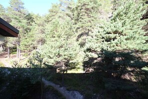 Explore the serene forest surroundings, featuring a winding path and a charming building in the distance.