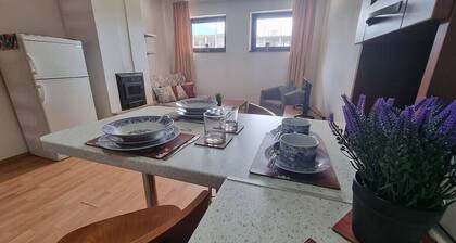 1BR Homey Duplex 300mbps Wifi 2 Floor With Washer