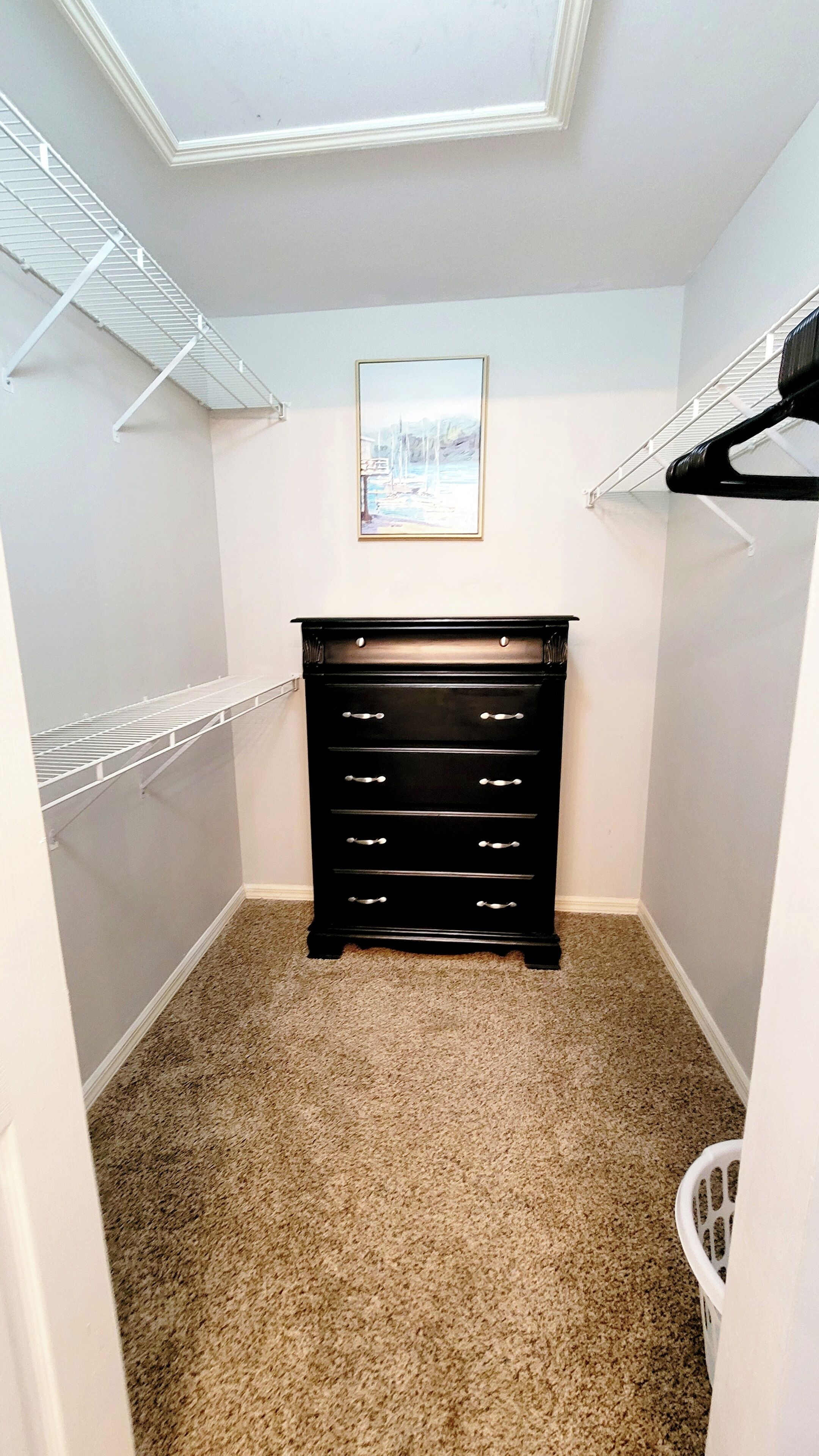 A small, carpeted closet with a black dresser and a framed picture on the wall.
