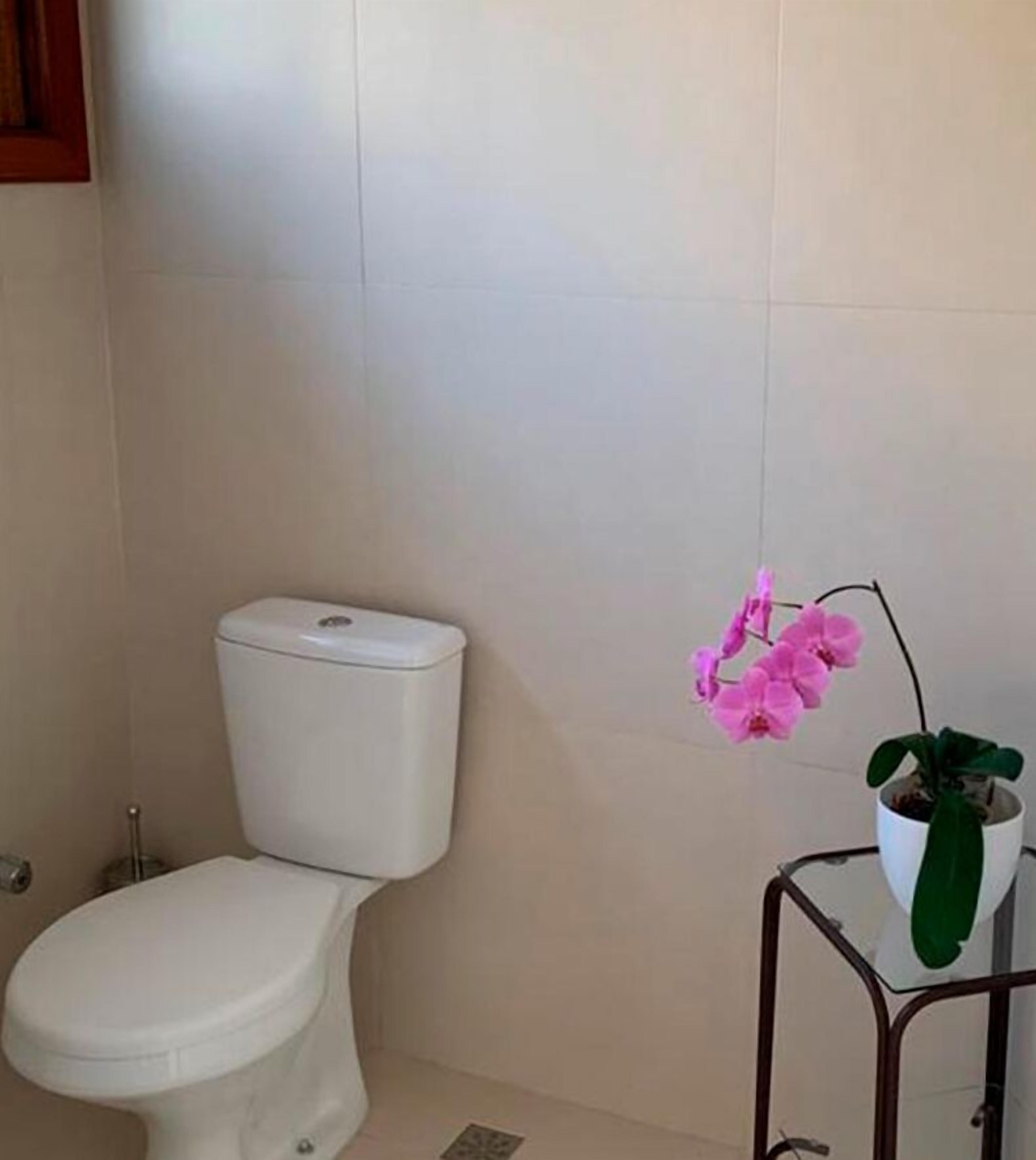 A bathroom with a toilet, a potted plant, and a tiled wall.