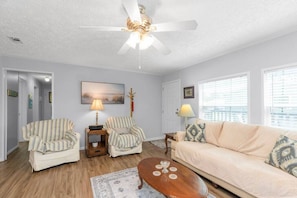 Smart TV, fireplace, DVD player, books