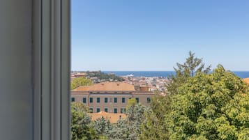 Panoramic Apartment | View from room