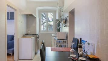 Panoramic Apartment | Private kitchen | Full-size fridge, microwave, oven, stovetop