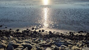 Een strand met een rotsachtige voorgrond en een rustige zee die de zon weerkaatst.