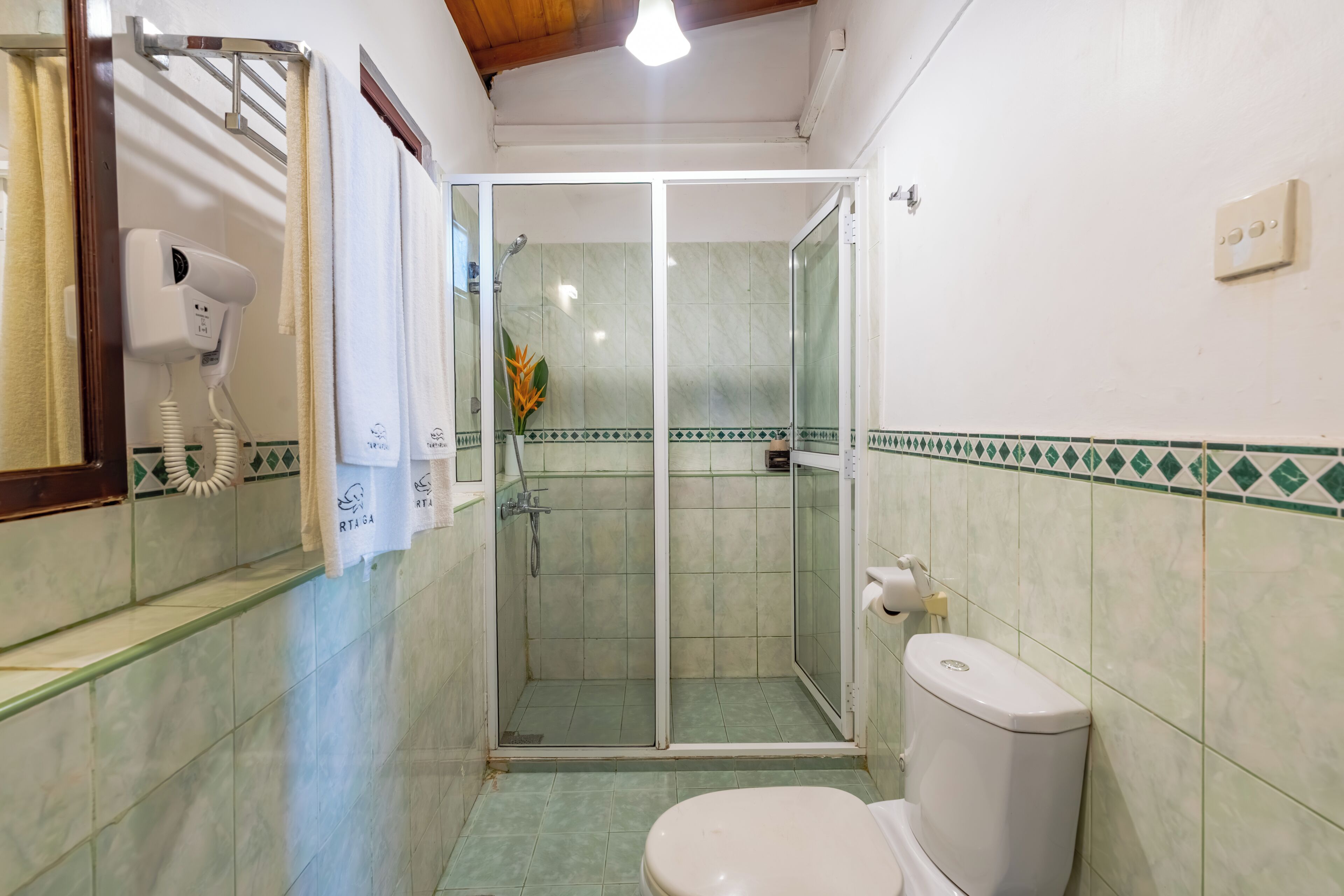 A bathroom with a toilet, a glass-enclosed shower, a hairdryer, and a towel rack.