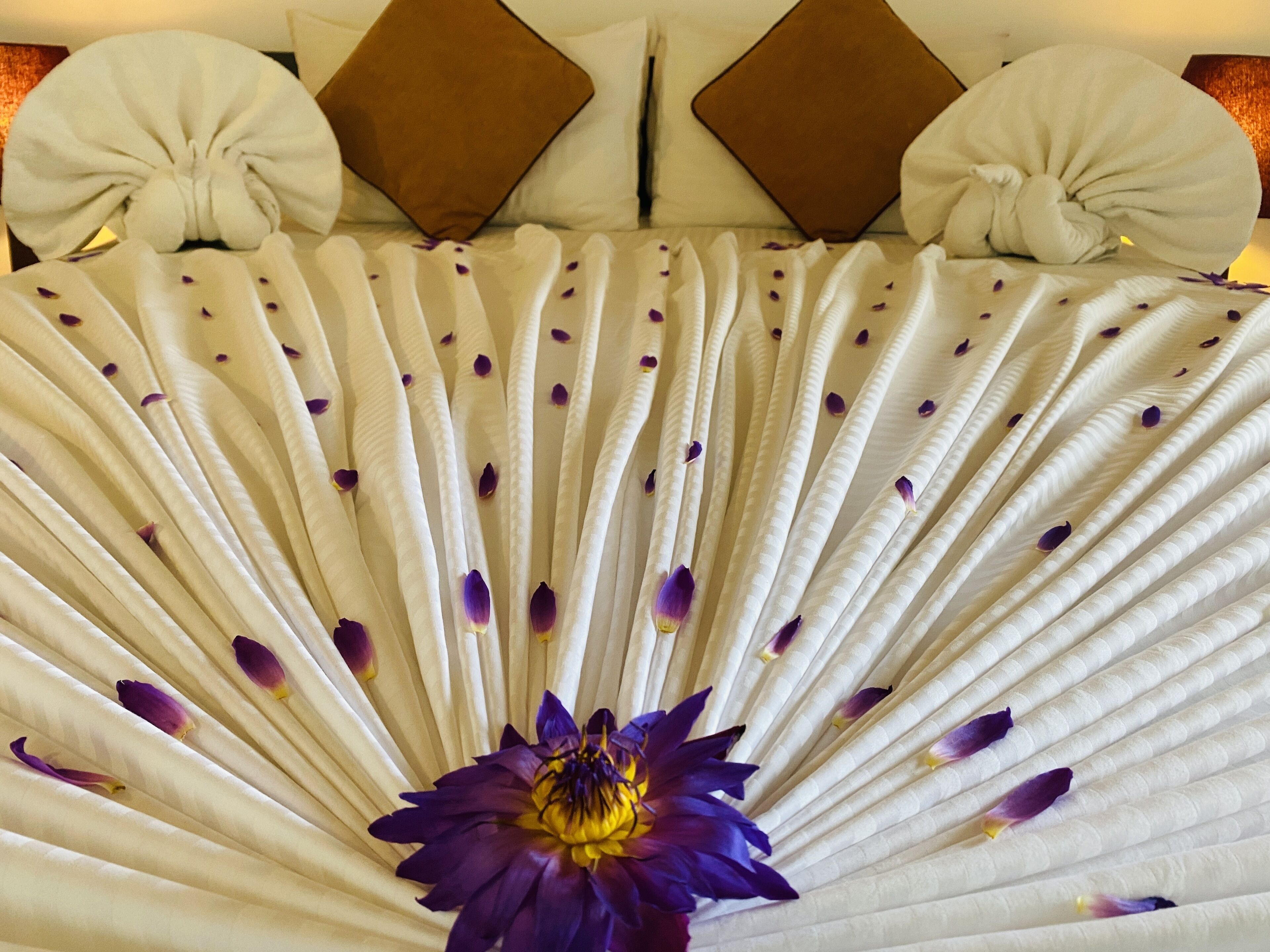 Ein Zimmer mit einem Bett, das mit weißen Laken und violetten Blütenblättern bedeckt ist, einer großen violetten Blume in der Mitte und zwei braunen Kissen am Kopfteil.