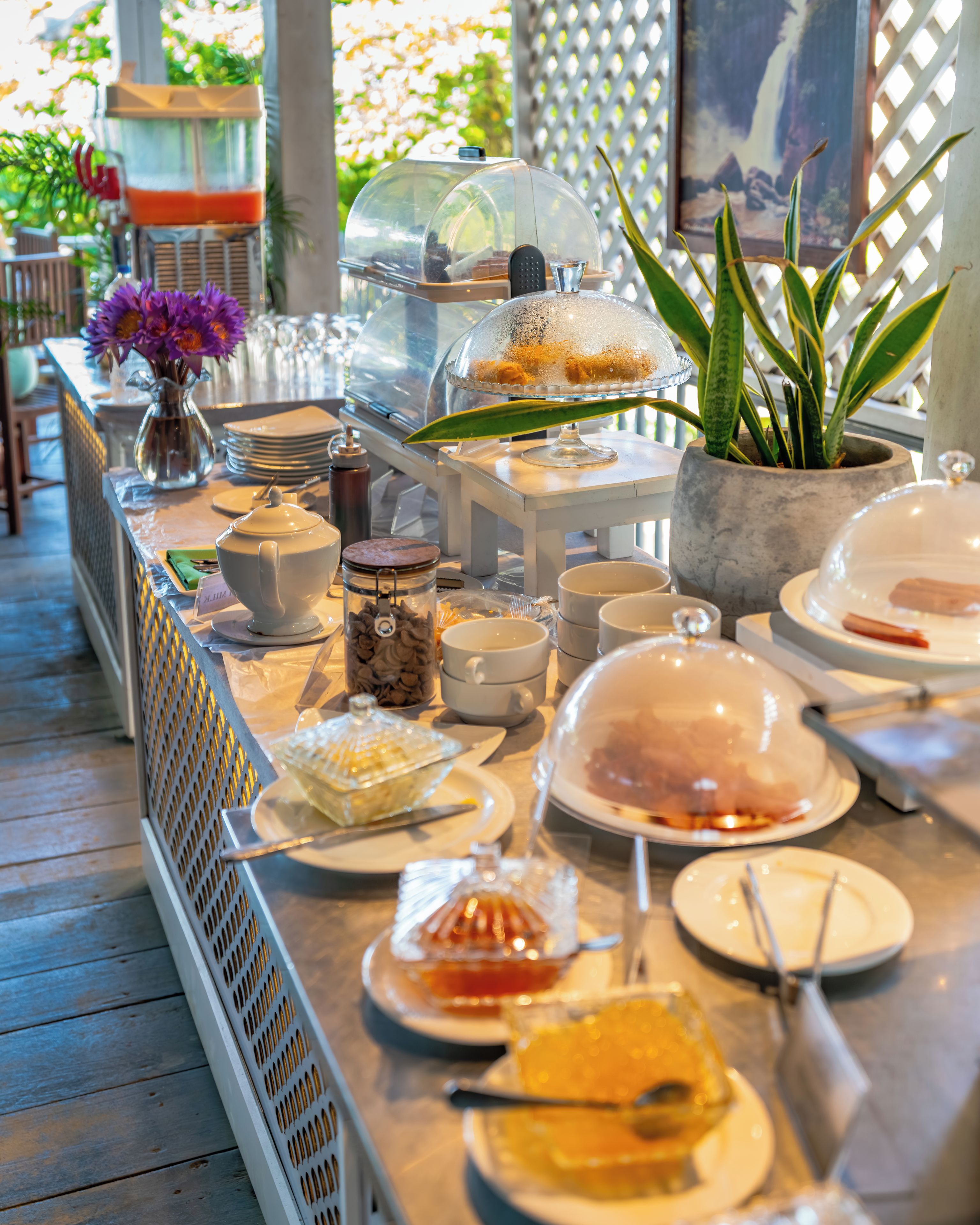 Disposição de buffet com diversos alimentos, um espaço para café e uma planta decorativa.