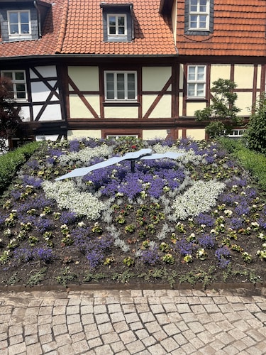 Harzfokus - Wellnest Stilvolle Ferienwohnung in der City