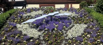 Harzfokus - Wellnest Stilvolle Ferienwohnung in der City