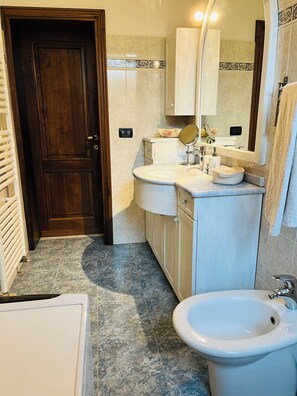 Shower, hair dryer, bidet, towels