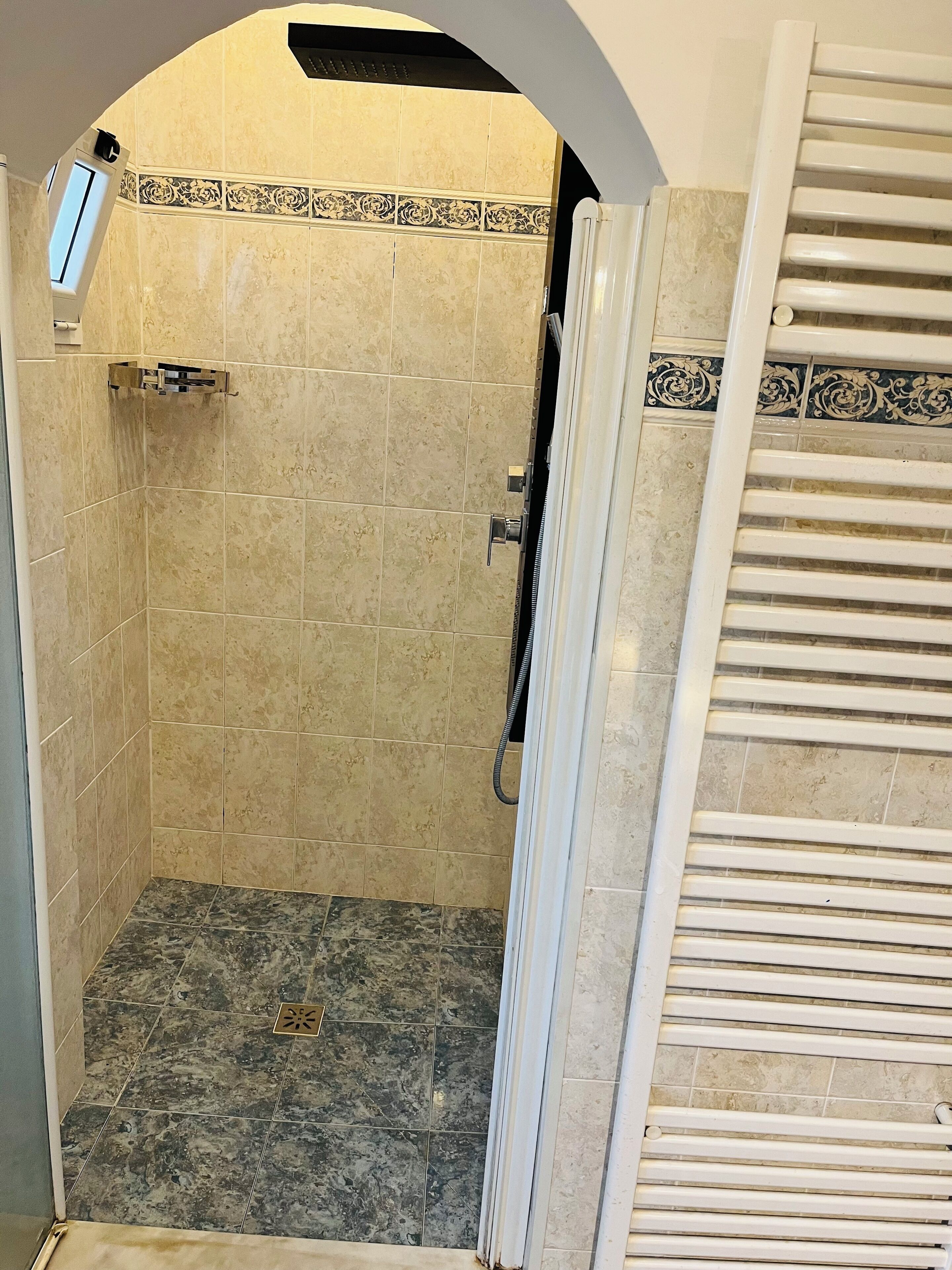 Shower, hair dryer, bidet, towels
