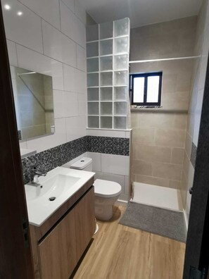 Shower, hair dryer, towels, toilet paper