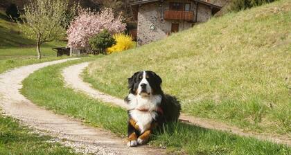 Casa FontaGusta - fantastic view of the Piccoli Dolomiti