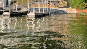 Une propriété au bord du lac, dotée d’un quai, d’un abri pour bateaux et d’un sentier menant à une maison entourée d’arbres.