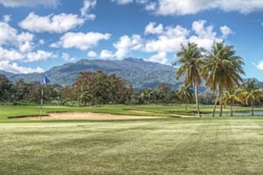 Un terrain de golf avec un drapeau, des palmiers et des montagnes en arrière-plan.