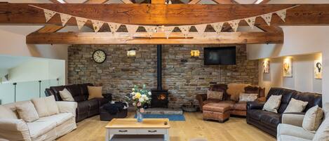 Smart TV, chimenea, libros