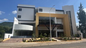 Un edificio moderno con fachada de vidrio, techo plano y un área de entrada ajardinada con plantas.