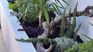 Een tuin met diverse planten en een decoratieve boomstam.