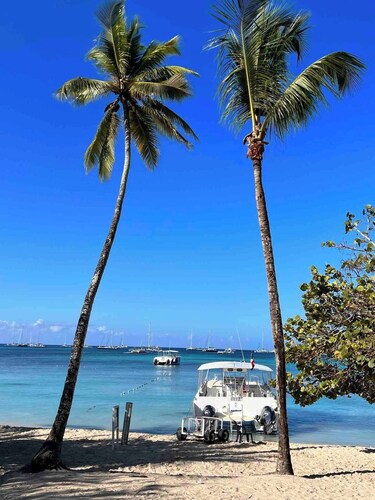 beautiful apartment of Cristina in the Caribbean
