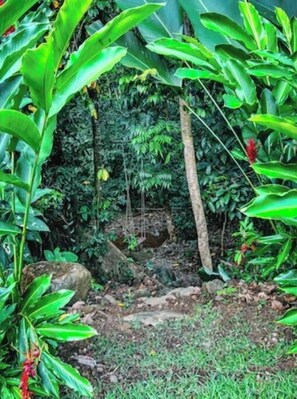 Terrein van de accommodatie