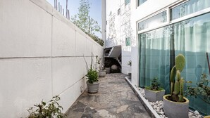 Un estrecho pasillo exterior con plantas en macetas y un cactus, que conduce a un edificio con amplias ventanas y una escalera.
