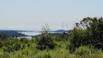 A coastal landscape with dense greenery and a distant view of a bridge and ships.